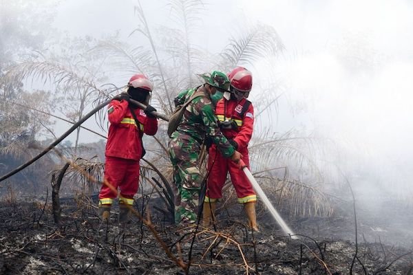 Puncak Karhutla 2026: 72 Ribu Hektare Tebakan, 734 Hektare Masih Berapi