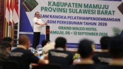 Potensi Sawit Sulbar Besar, Pemprov Fokus Tingkatkan Kualitas Petani