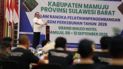 Potensi Sawit Sulbar Besar, Pemprov Fokus Tingkatkan Kualitas Petani