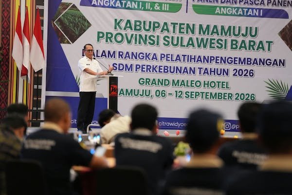 Potensi Sawit Sulbar Besar, Pemprov Fokus Tingkatkan Kualitas Petani