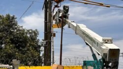 Sambut Hari Pelanggan Nasional, PLN UP3 Makassar Selatan Rawat Jaringan di GI Tanjung Bunga