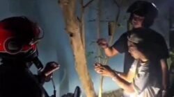 Modus Tempel Sabu di Pohon, Pria di Maros Ditangkap Polisi