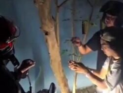 Modus Tempel Sabu di Pohon, Pria di Maros Ditangkap Polisi