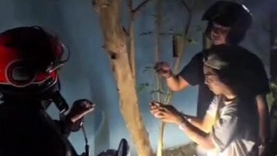 Modus Tempel Sabu di Pohon, Pria di Maros Ditangkap Polisi