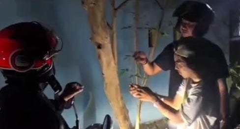 Modus Tempel Sabu di Pohon, Pria di Maros Ditangkap Polisi