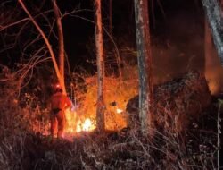 BNPB Catat 37,84 Hektare Lahan Terbakar di 3 Wilayah
