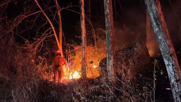 BNPB Catat 37,84 Hektare Lahan Terbakar di 3 Wilayah