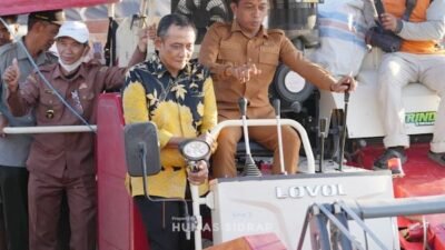 Sidrap Panen 11 Ton di Tengah Kemarau