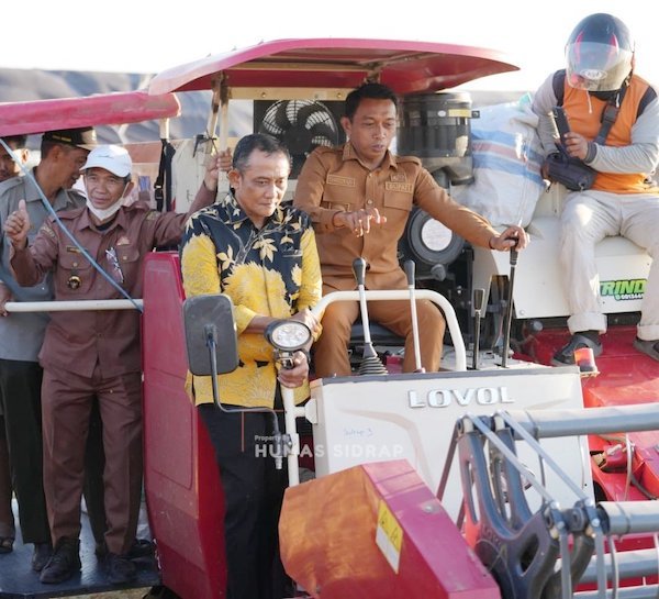 Sidrap Panen 11 Ton di Tengah Kemarau