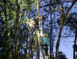 Momentum Hari Pelanggan Nasional, PLN ULP Malino Percepat Perbaikan Gangguan MVTIC Feeder Parangloe