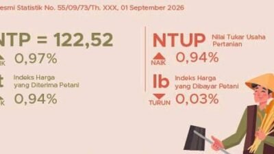 Nilai Tukar Usaha Pertanian Agustus di Sulsel Naik 0,94 Persen jadi 127,80
