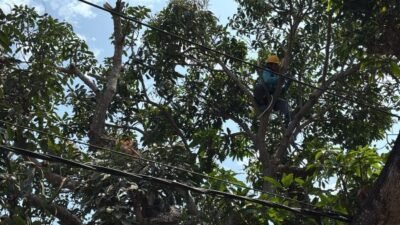 Momentum Hari Pelanggan Nasional, PLN UP3 Makassar Selatan Gelar Pemeliharaan Terpadu di Galesong Takalar