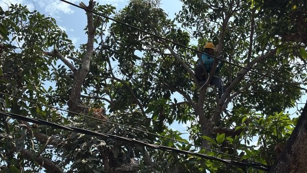 Momentum Hari Pelanggan Nasional, PLN UP3 Makassar Selatan Gelar Pemeliharaan Terpadu di Galesong Takalar