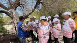 Siswa SMP Athirah Tanam Mangrove di PPLH Putondo, Belajar Jaga Ekosistem Pesisir