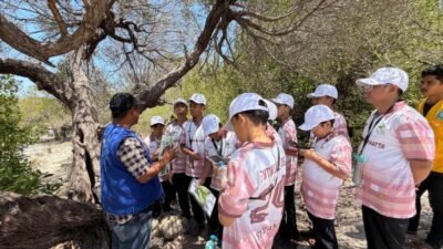 Siswa SMP Athirah Tanam Mangrove di PPLH Putondo, Belajar Jaga Ekosistem Pesisir