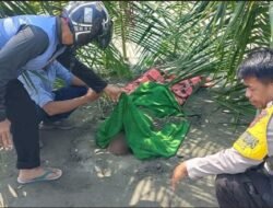 Mayat Pria Tanpa Identitas Ditemukan di Pantai Dato Mamuju