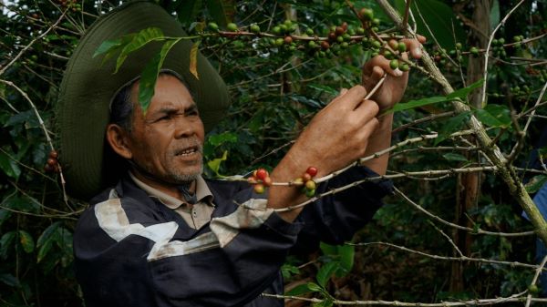 Pemprov Sulsel Dorong Perhutanan Sosial Jadi Strategi Pembangunan Daerah