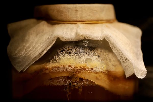 Manfaat dan Risiko Teh Kombucha: Minuman Fermentasi yang Kian Populer