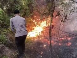 Karhutla Hanguskan 5 Hektare Lahan di Mamasa