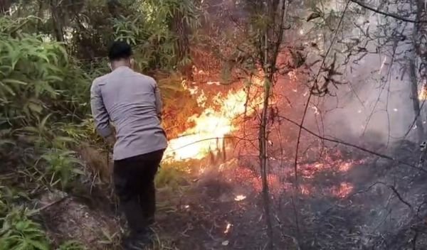 Karhutla Hanguskan 5 Hektare Lahan di Mamasa