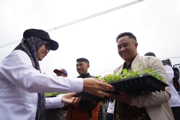Gowa Terima 175 Ribu Benih Kentang dari Pemprov Sulsel