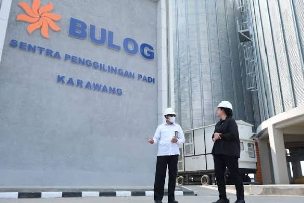 Bulog Bangun Sentra Penggilingan Padi di Luwu untuk Tahan Produksi Gabah Lokal