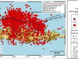Gempa Susulan NTT Tembus 4.258, BMKG: Berlangsung 4 Minggu
