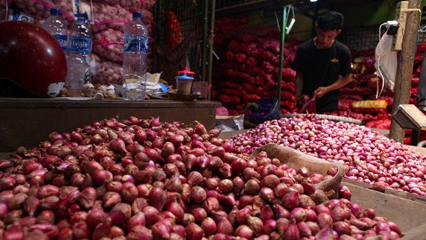 Harga Bawang Merah Melonjak di 300 Daerah, Jadi Penyumbang Utama Inflasi