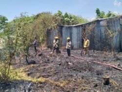 Kebakaran Lahan Dekat Permukiman Padat Penduduk di Mamuju, Api Hanguskan Satu Gudang