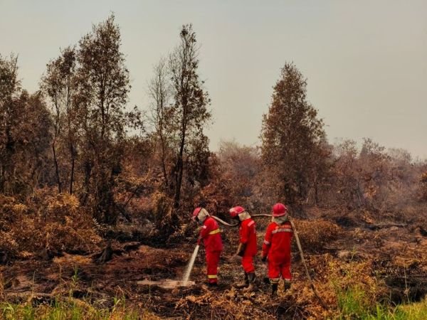 Karthula Berdampak ke 10,6 Juta Orang, Kemenkes Mobilisasi 848 Nakes