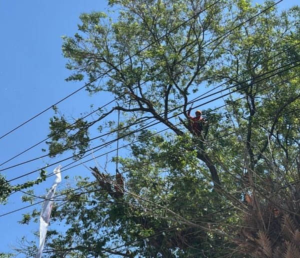 Sambut Hari Pelanggan Nasional, PLN Manfaatkan Waktu Padam Bergilir untuk Pemeliharaan Jaringan di Malengkeri
