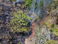 3.000 Titik Panas di Sulbar, Gubernur Suhardi Duka Imbau Warga Cegah Kebakaran