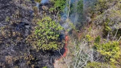 3.000 Titik Panas di Sulbar, Suhardi Duka Imbau Warga Bersama Cegah Kebakaran