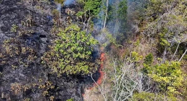 3.000 Titik Panas di Sulbar, Suhardi Duka Imbau Warga Bersama Cegah Kebakaran